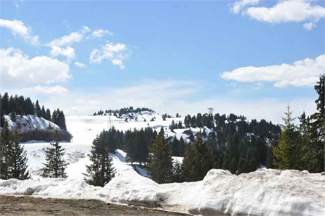 Col de Pierre Carrée vers la Pointe de l'Arbaron - OT Les Carroz