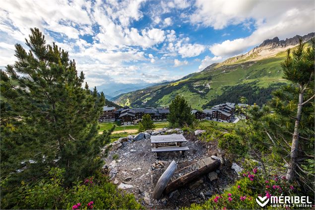 Aire de pique-nique du Hameau - ©Sylvain Aymoz