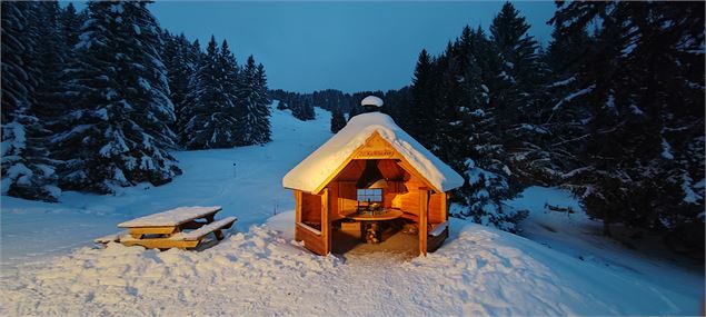 Kota en hiver - Pascal Favier