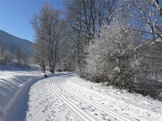 Piste de fond le long de l'Isère à Landry - OT Peisey-Vallandry
