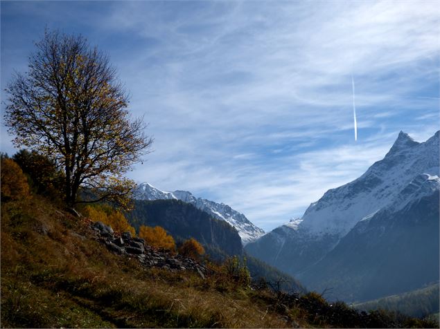 Sentier des noisettes - MNPC