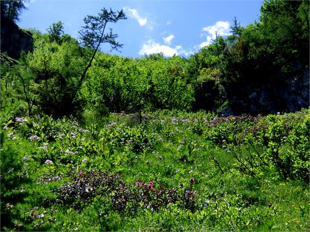 Croix Bozon - MNPC