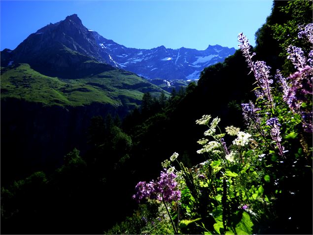 la Rêbe - mnpc