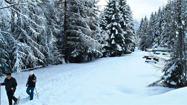 Balade à raquettes/piétons - Bonvillard, sentier des producteurs_Aime-la-Plagne - La Plagne Vallée