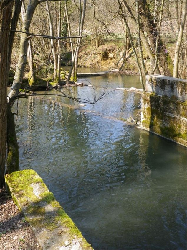 Rivière - OT 3CM