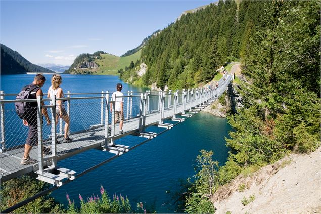 Passerelle sur le lac de St Guerin