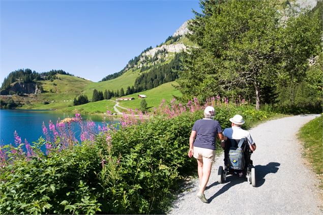 promeneur en fauteuil PC ST Guerin
