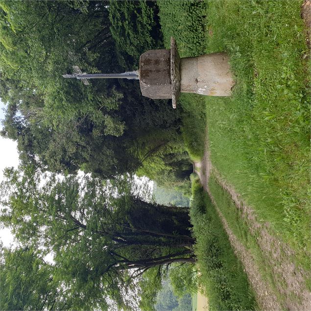 Les bois de Béligneux - 3CM