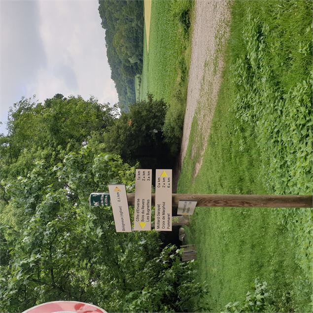 Les bois de Béligneux - 3CM