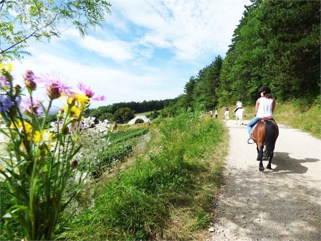 - Cheval Bugey