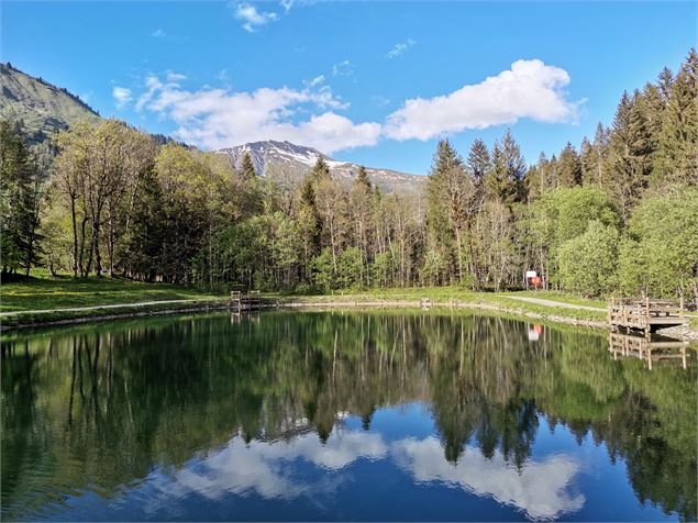 Etang de l'infernet - A. Spani