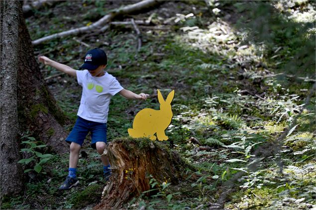 Parcours Cache-cache des Animaux - JP Noisillier