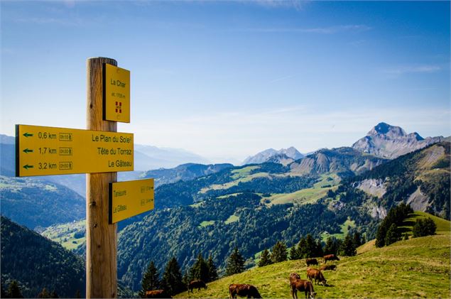Le Mont Charvin en été depuis la Char - Office de Tourisme du Val d'Arly