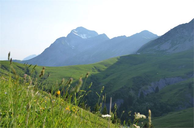 Le Mont Charvin - Office de Tourisme du Val d'Arly