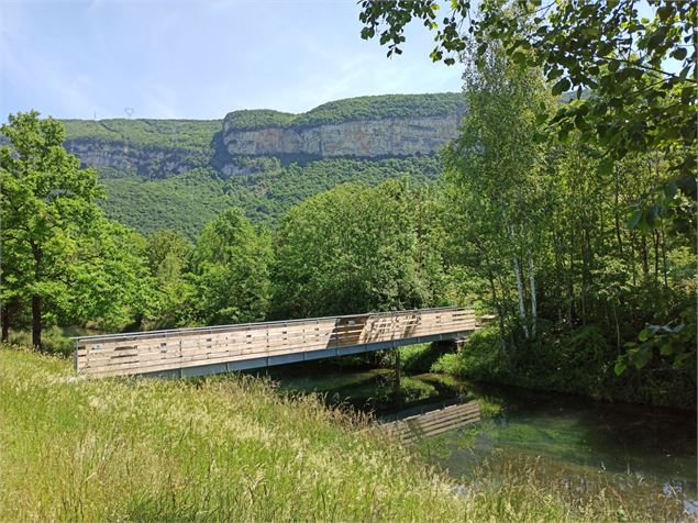Passerelle sur le sentier - K.Tranchina