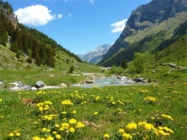 Vallon de Chavière - K.Mandray