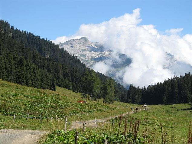 Itinéraire pédestre : lac de Gers depuis Lédedian - SIVHG