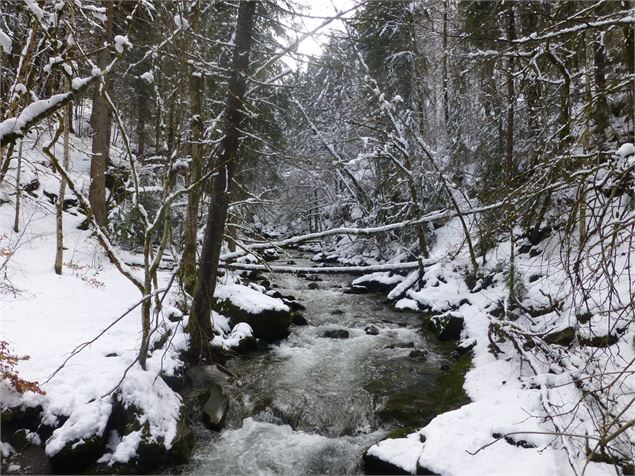 Le Nom sous la neige 2 - OT Saint Jean de Sixt