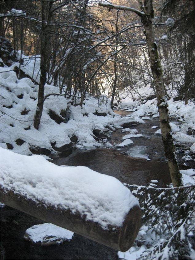 Bois de l'Envers n°16_Saint-Jean-de-Sixt - OT Saint Jean de Sixt