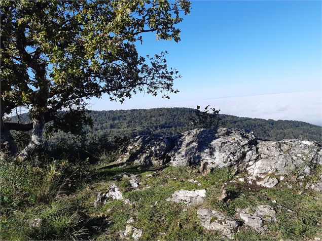 Crête de la Cabatane - scalland