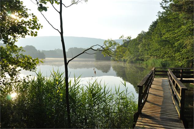 Balade - Passerelle flottante de la Grange du Pin