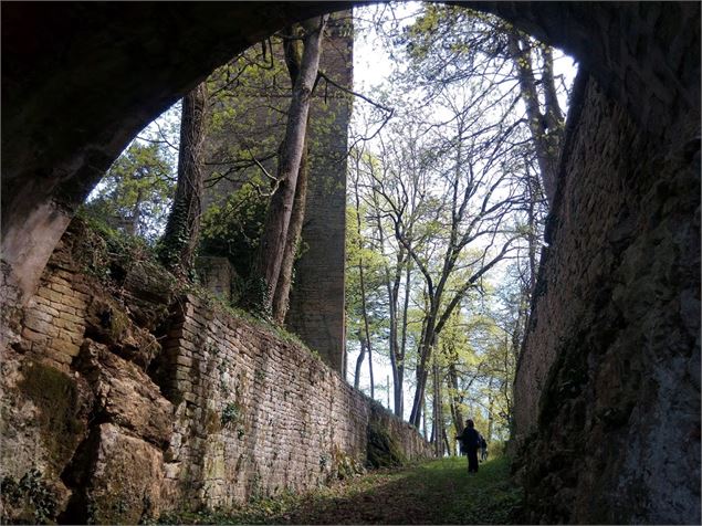 Chateau de Coligny - S CALLAND