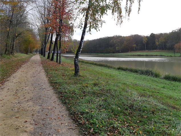Etang de Fougemagne - S CALLAND
