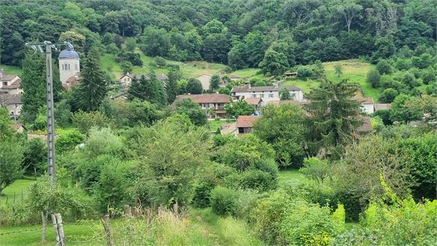 Vignoble de Journans - Belvédère du Mont Rignat_Journans - s calland