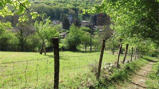Vignoble de Journans - Belvédère du Mont Rignat_Journans - s calland