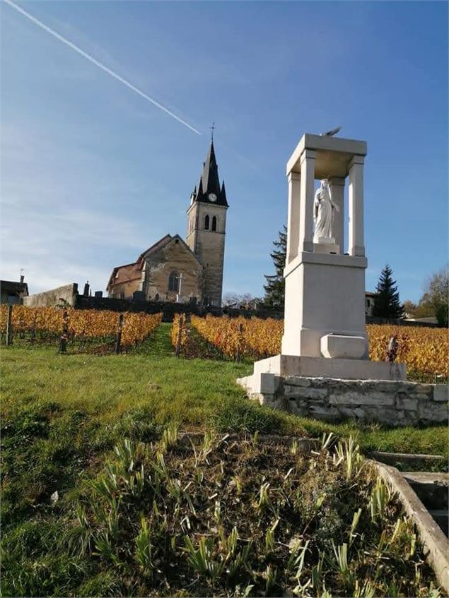 Source de la Reyssouze - Belvédère et vignes du Mont Rignat_Journans - scalland