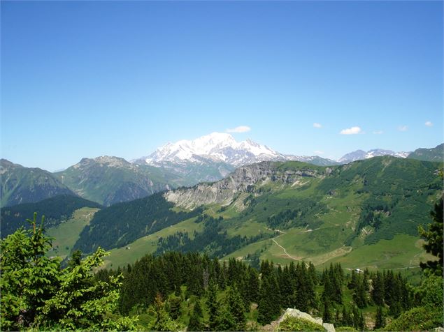 vue du Plateau du Cuvy