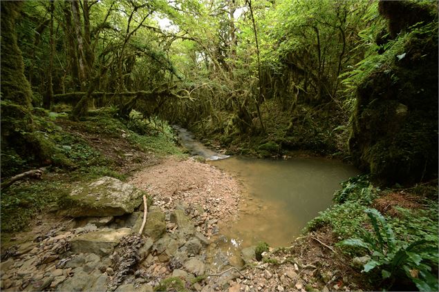 Fontaine noire - Serrières-sur-Ain - JF BASSET