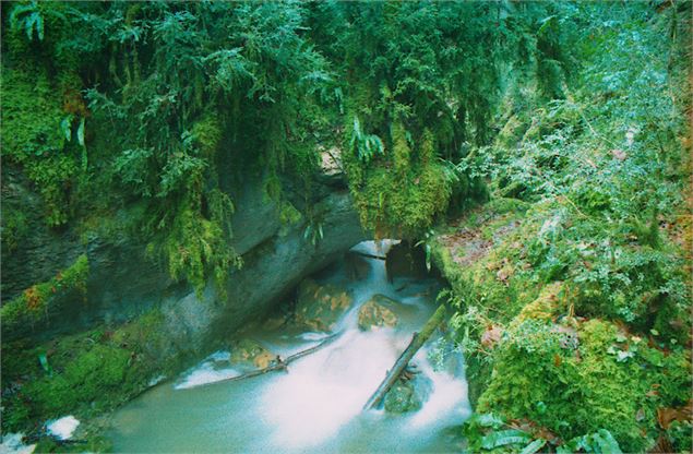 Bief de Malaval - Source Bleue - JF BASSET