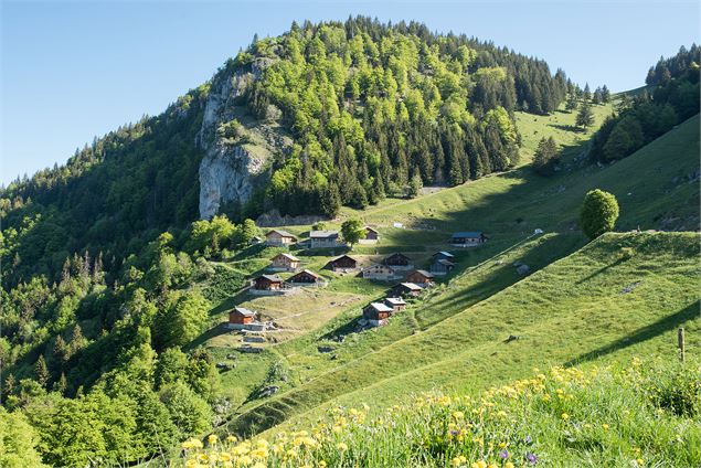 L'alpage de Tréchauffé - Yvan Tisseyre/OT Vallée d'Aulps