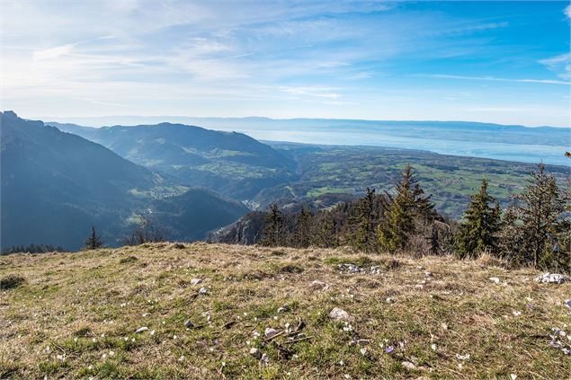 Vue sur le lac Léman depuis le sommet - Yvan Tisseyre/OT Vallée d'Aulps