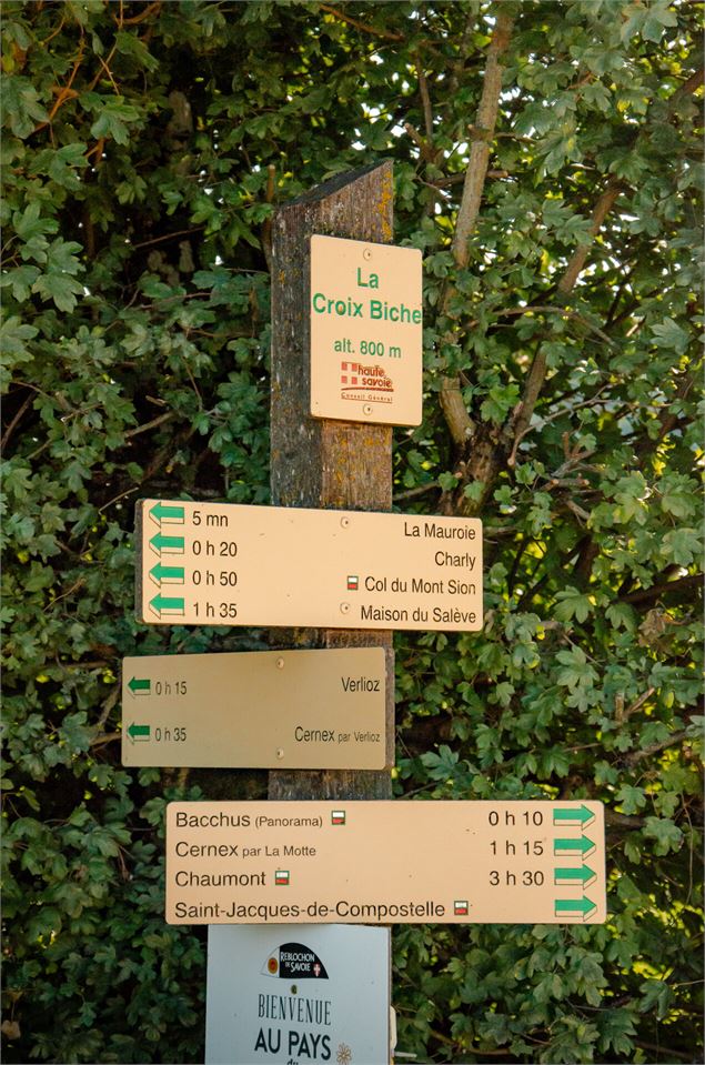GR® 65 - Chemin de Compostelle - Col de la Croix Biche - Franleno Production