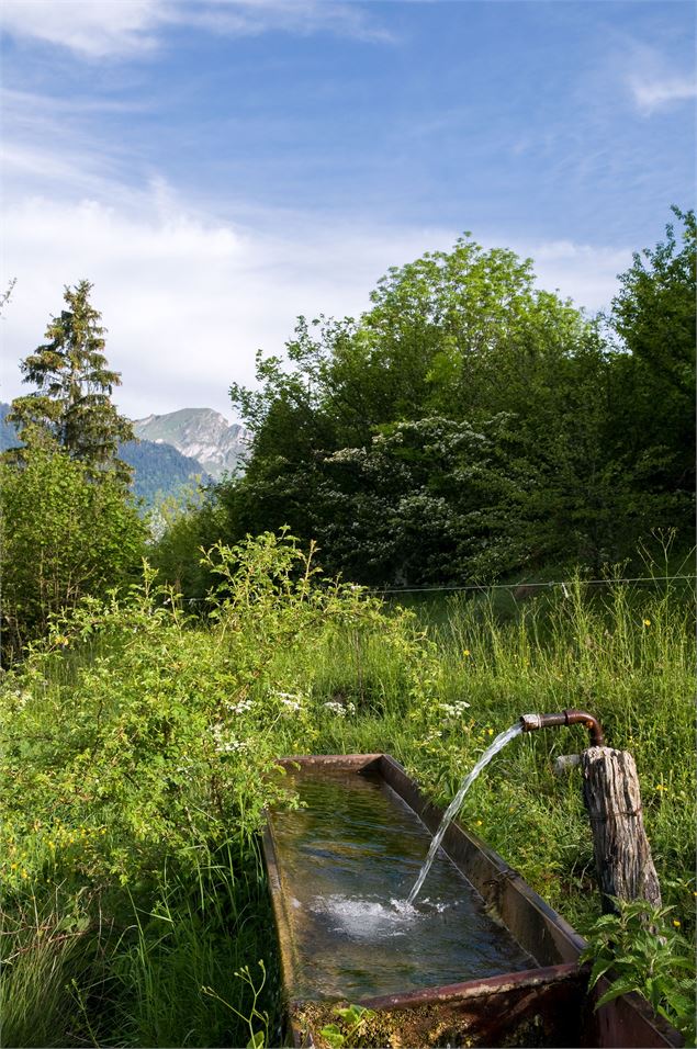 Le bassin de l'alpage de l'Haut-Thex - Yvan Tisseyre / OT Vallée d'Aulps
