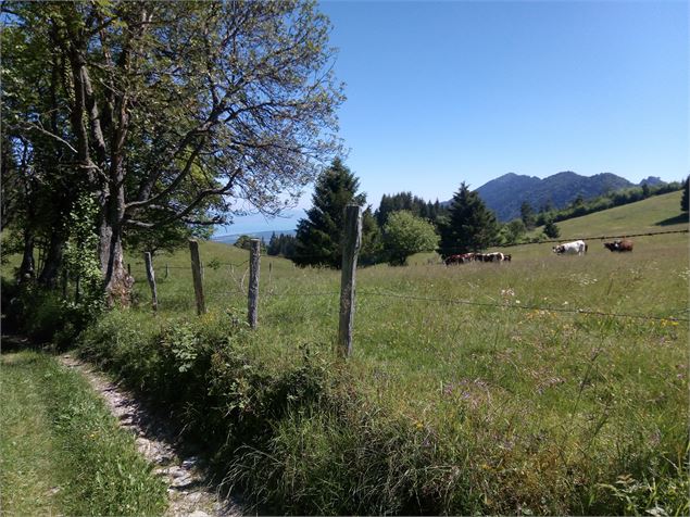 photo-prestataire - OT Alpes du Léman