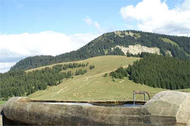 Pointe de la Gay - Office de Tourisme des Alpes du Léman