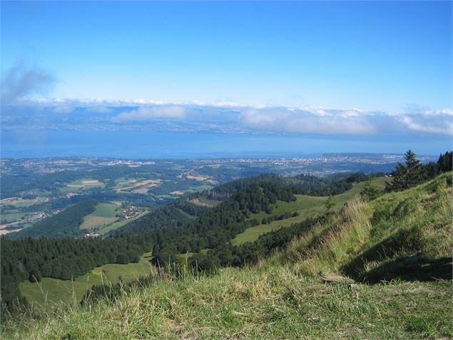 Été - Office de Tourisme des Alpes du Léman