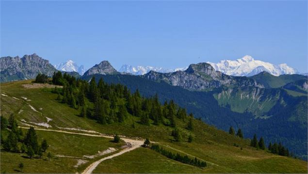 Randonnée Crêtes d'Hirmentaz - OTADL