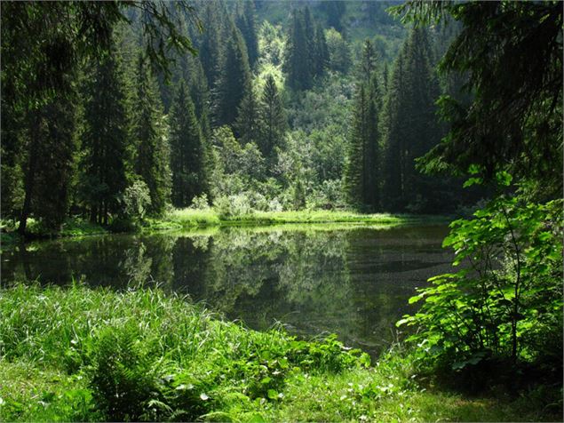Lac de Petetoz - OT Alpes du Léman