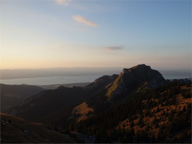 Alpage de Nifflon - OT Alpes du Léman