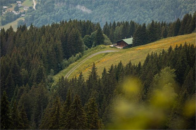 Itinéraire rando crêtes de Rochebrune_Megève