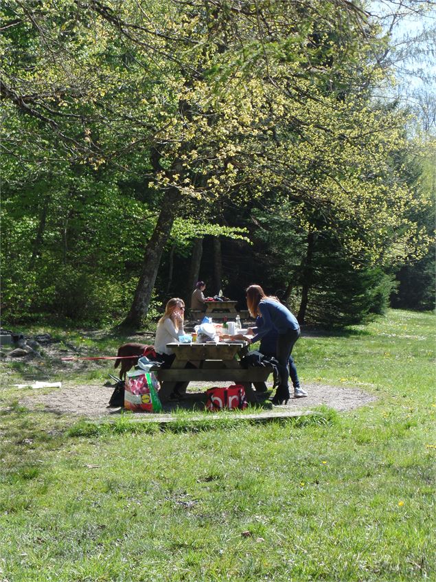 Aire de pique-nique du Parc des Dronières - ©Alter'Alpa Tourisme