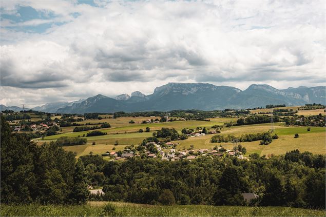 Pique-nique - Plateau des Borne - OT_Monts_du_Genevois_-_A.Modylevskaia-