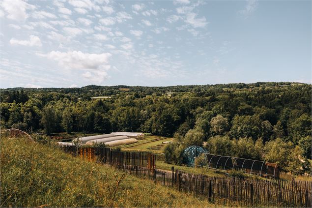 Ferme de Chosal - Été 2024 - OT_Monts_du_Genevois_-_A.Modylevskaia-