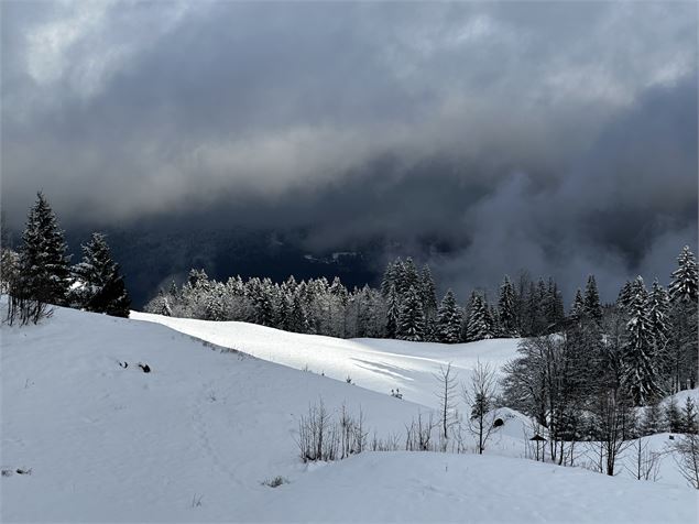 sentier raquettes : boucle du plateau de Mayères_Sallanches - Emilie Perrin
