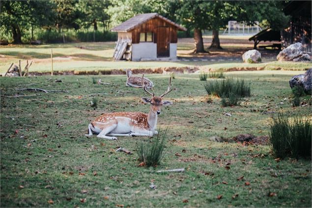 Parc_des_Dronieres - OT_Monts_du_Genevois_-_A.Modylevskaia
