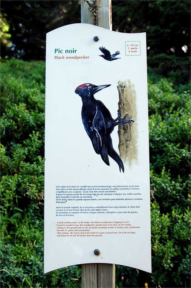 Sentier des oiseaux Châtel - L.Meyer - Châtel